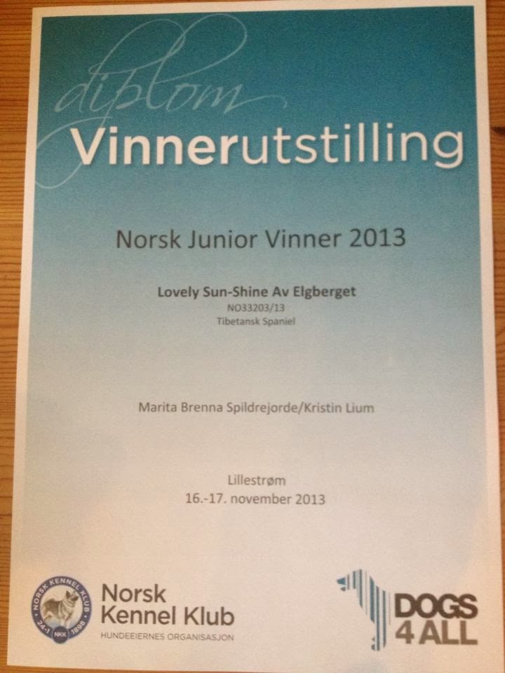 Norsk Juniorvinner 2013