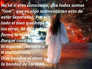 Imagen de consulta de la búsqueda visual