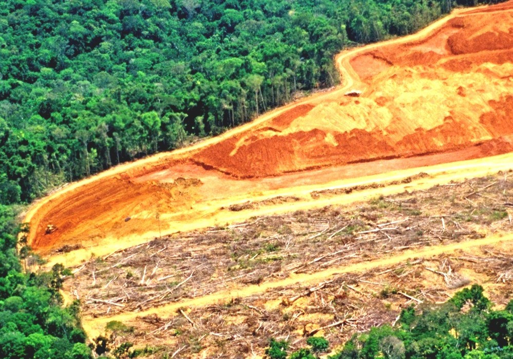 Deforestation Of The Amazon Rainforest Amazon Forest Deforestation