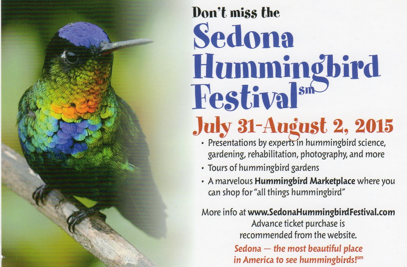 Ozarklake Copper Garden Art It's Time for the Sedona Hummingbird Festival