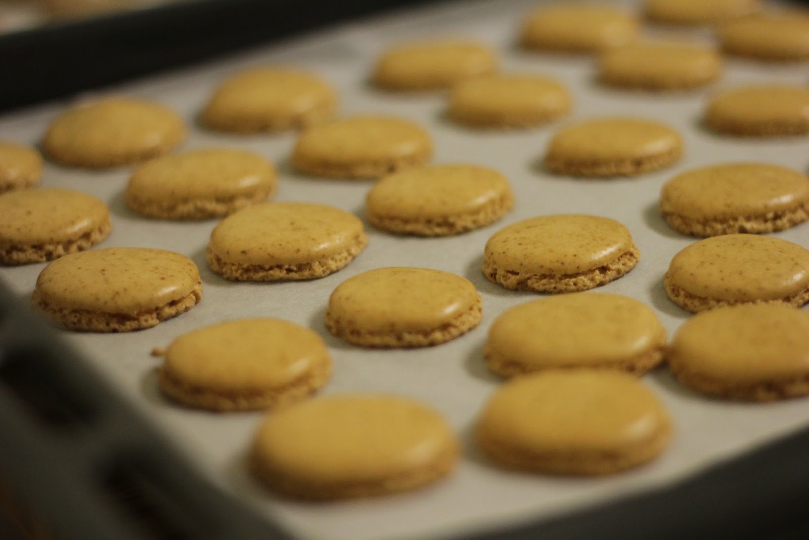 BAKING TRAY \________/ The wonderful world of MACARONS!!