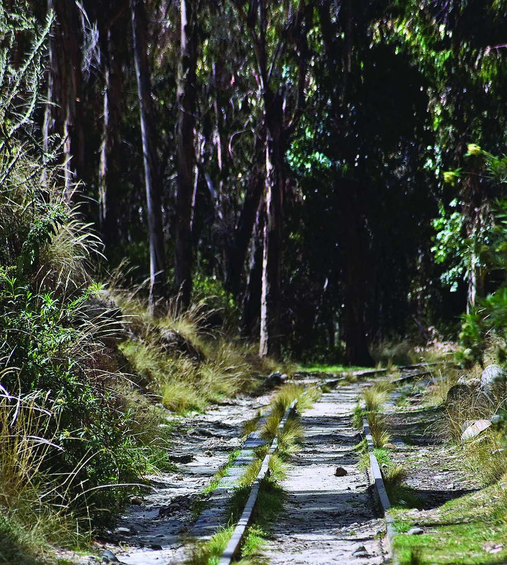 La Paz Bolivia La Paz del Bicentenario Bosquecillo de Pura Pura, el