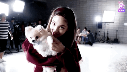 트와이스 나연에 대해 알아보자.jpgif | 인스티즈