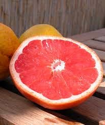 grapefruit aids weight loss