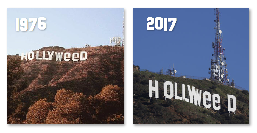 Холливуд программа. Hollyweed сорт. ПРАНК Hollywood на Hollyweed. Hollywood Life логотип. Hollywood change Letters.