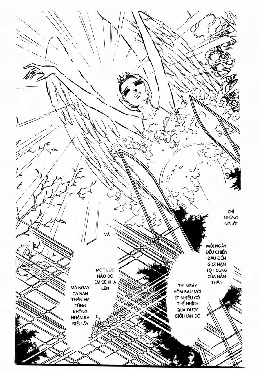 Swan - Vũ Khúc Thiên Nga Chap 47 - Next Chap 48