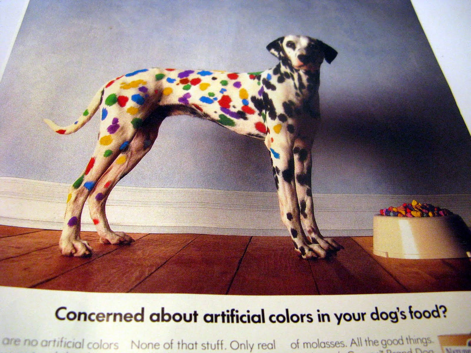 will food coloring hurt my dog