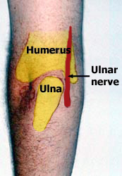 nervo+ulnar+1.jpg