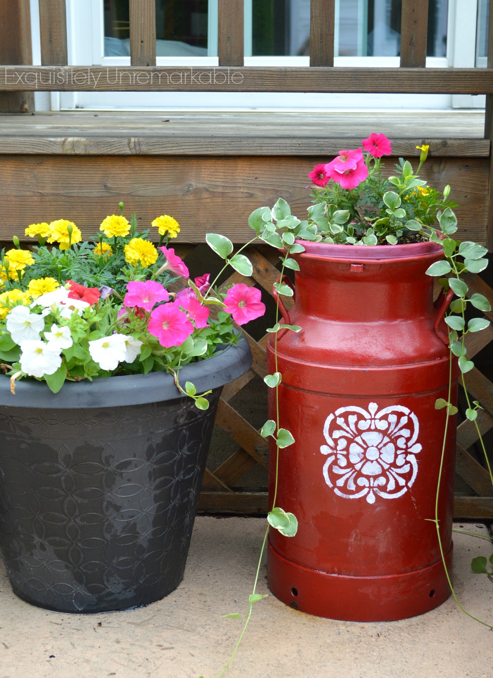 Painted Milk Can Planter Exquisitely Unremarkable