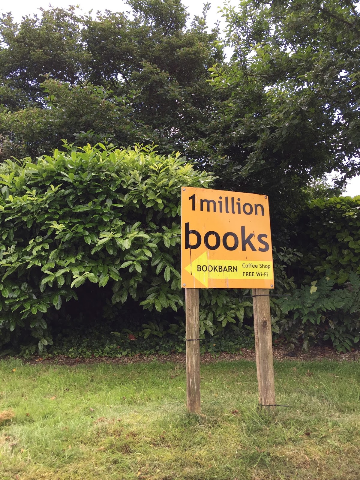 The Bookshop Around The Corner Books And Friendship