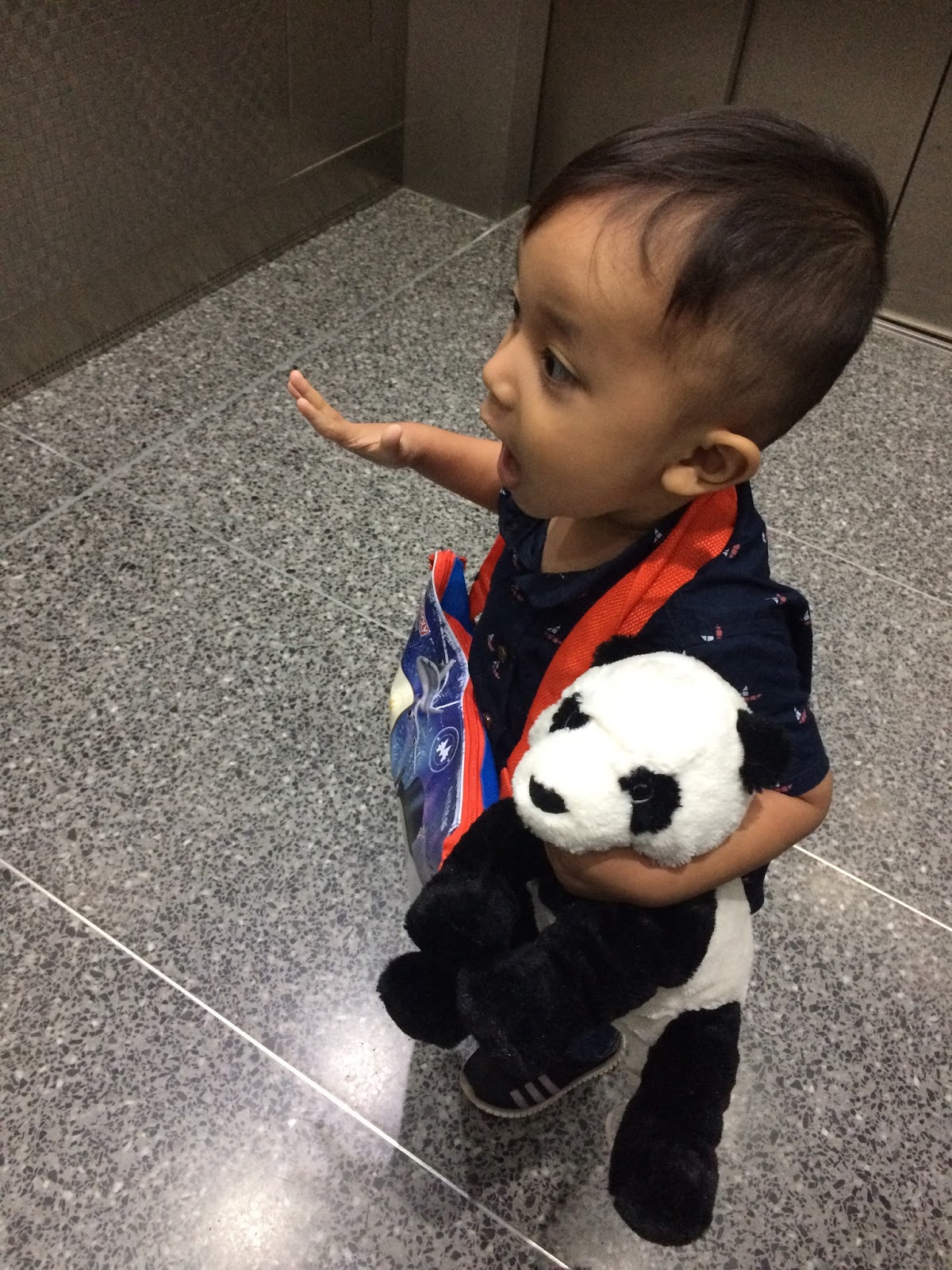 Pengalaman Potty Train Dengan Anak