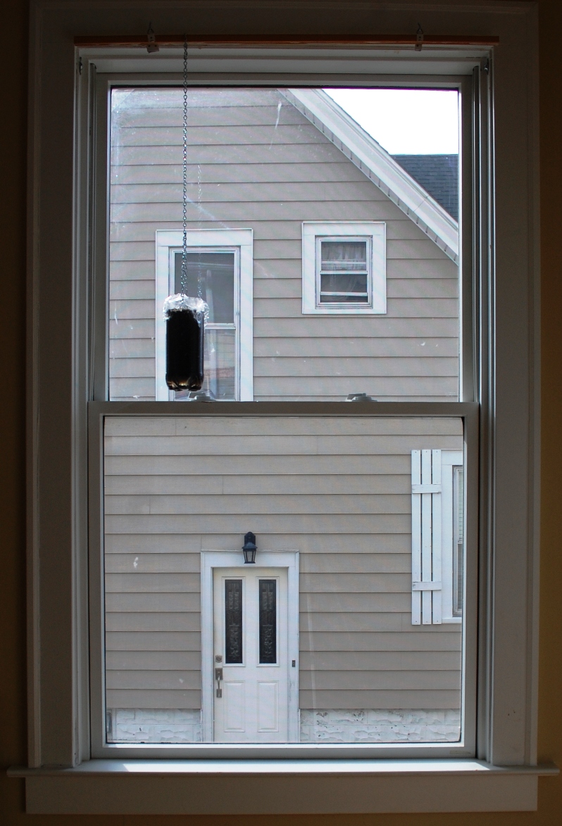 The neighbours window. Ферма на окне. Window Spy. Neighbour Window Spy.