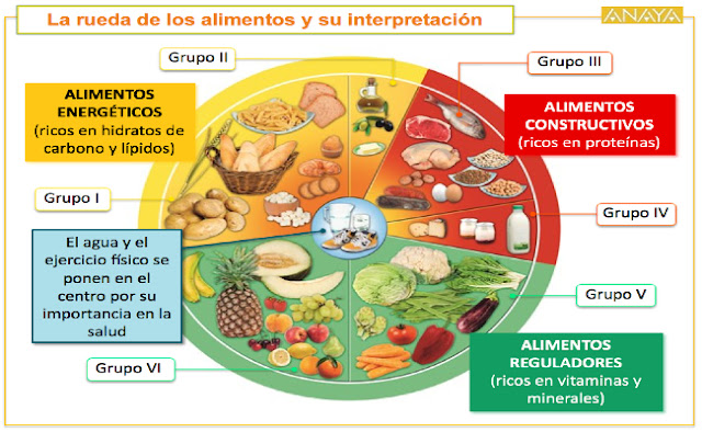 Alimentos ricos en energia para el ejercicio fisico