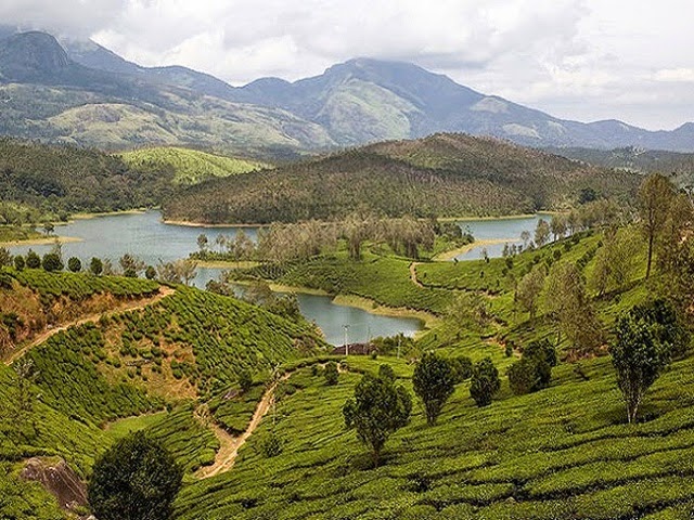 avalanche lake ooty