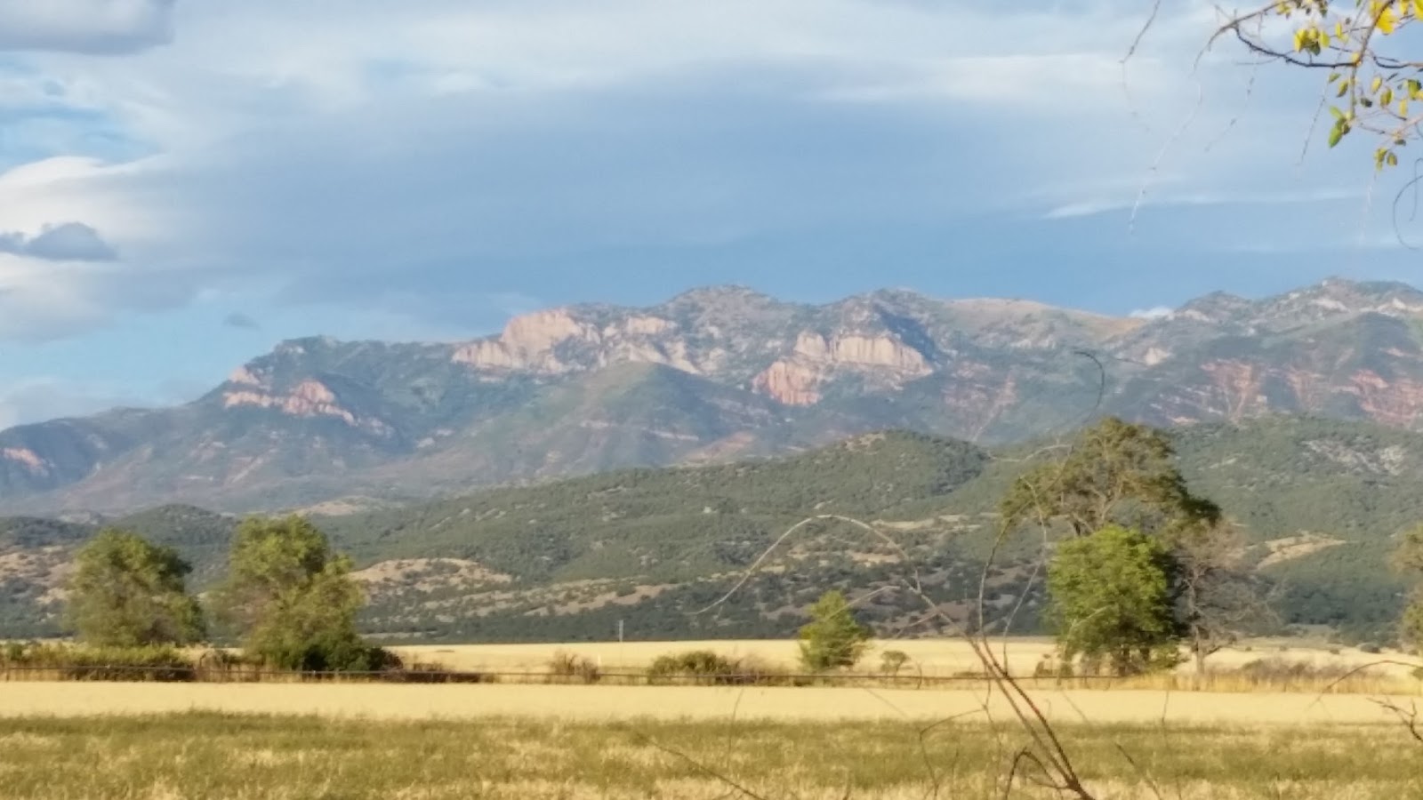 Technically Homeless Campground Review Levan Town Park Levan, UT