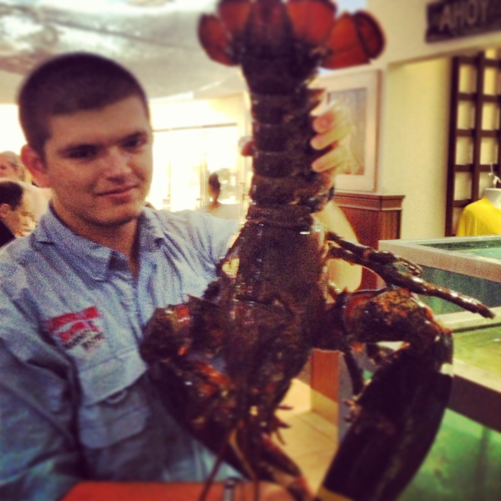 The Birch Beat Lovin' The Lobster Lady