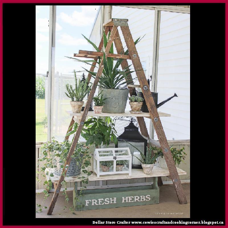 Dollar Store Crafter Turn An Antique Ladder Into A Plant Shelf