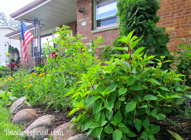 July Summer Garden Tour 2014 | Rustic & Refined