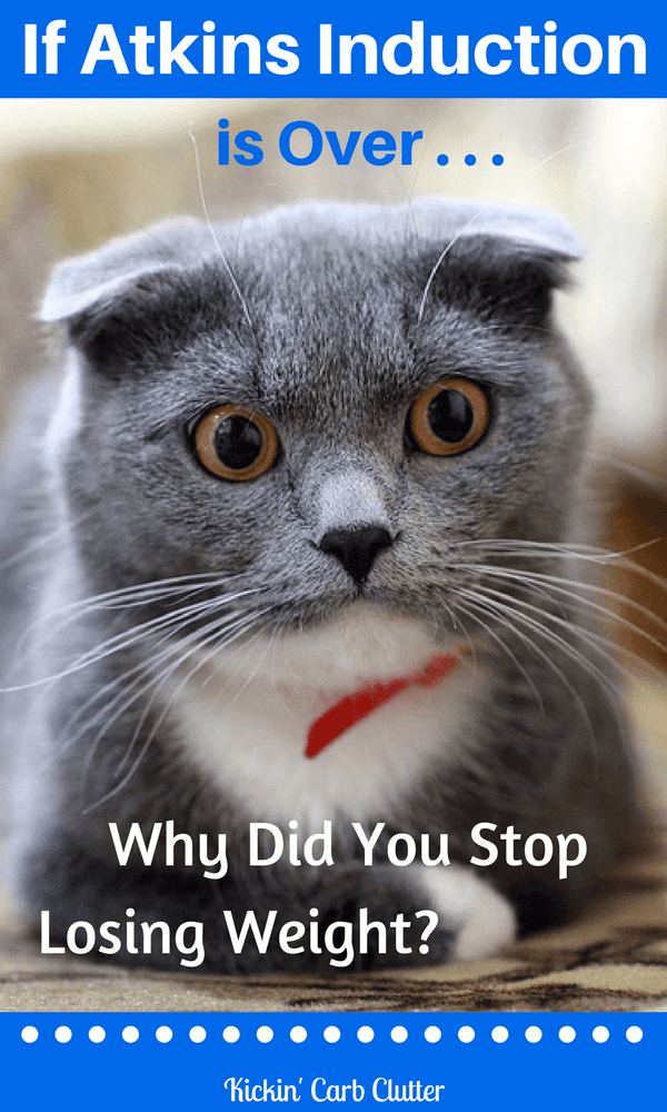 Atkins Induction Phase