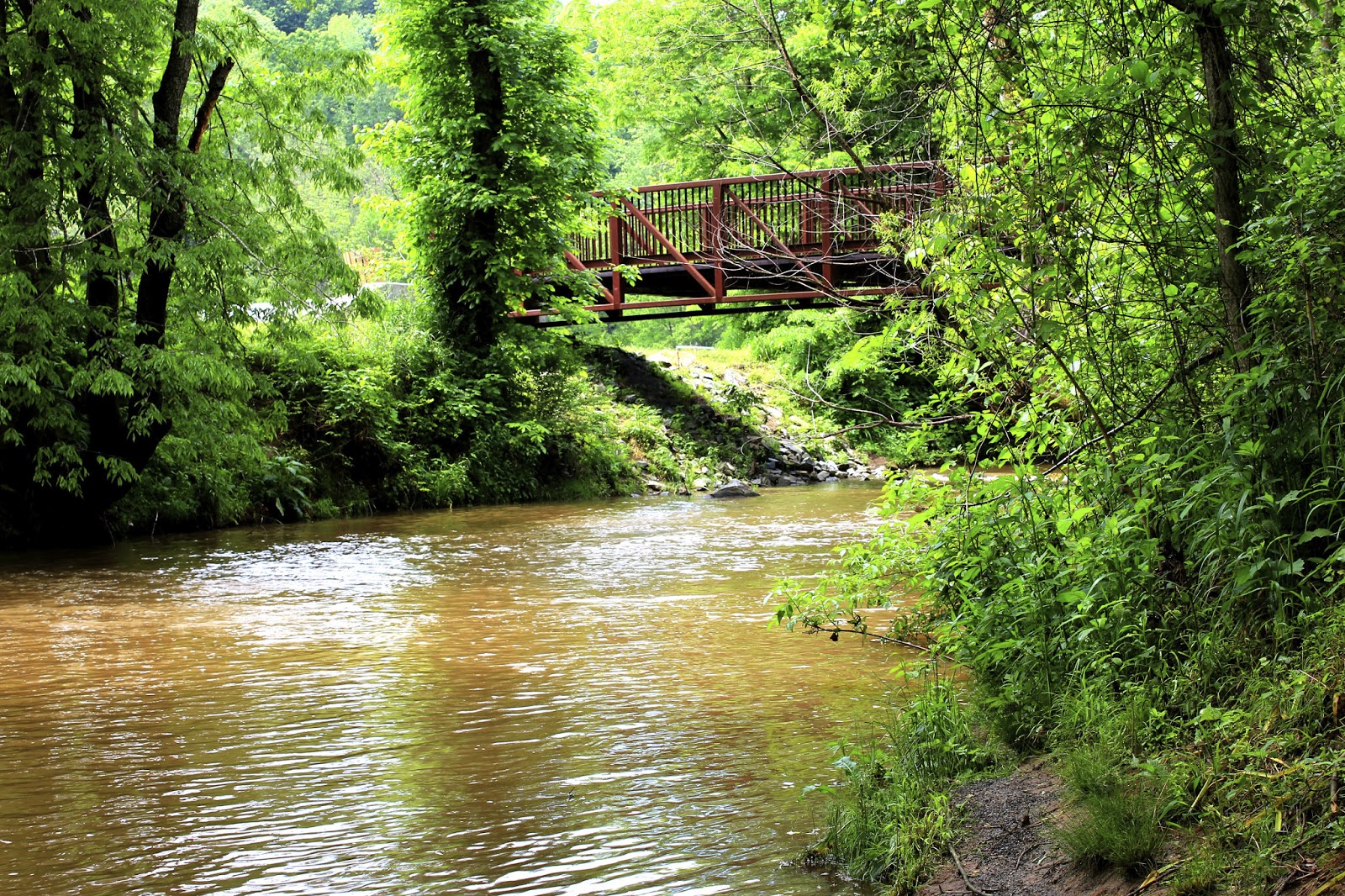 Rocky Adventurer FISHING THE PIGG RIVER