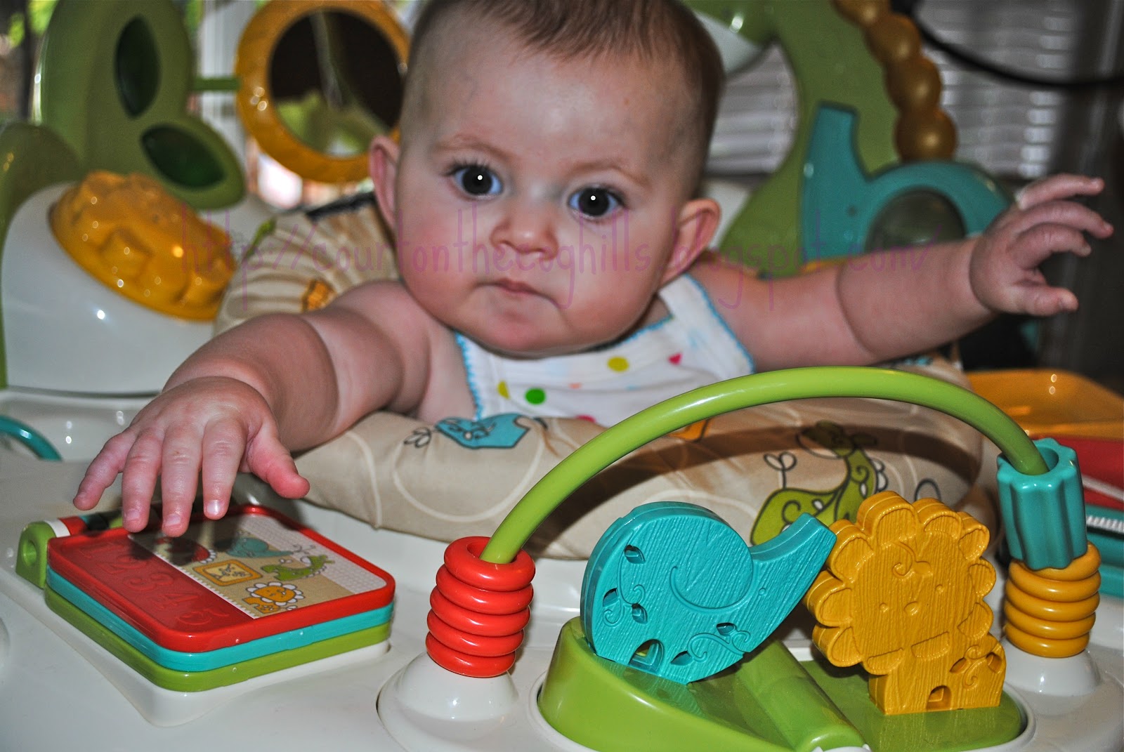 Story of the Jumperoo