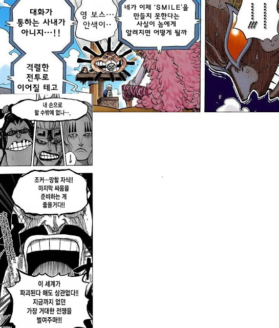 원피스) 사황 카이도우와 와노국의 역사 | 인스티즈