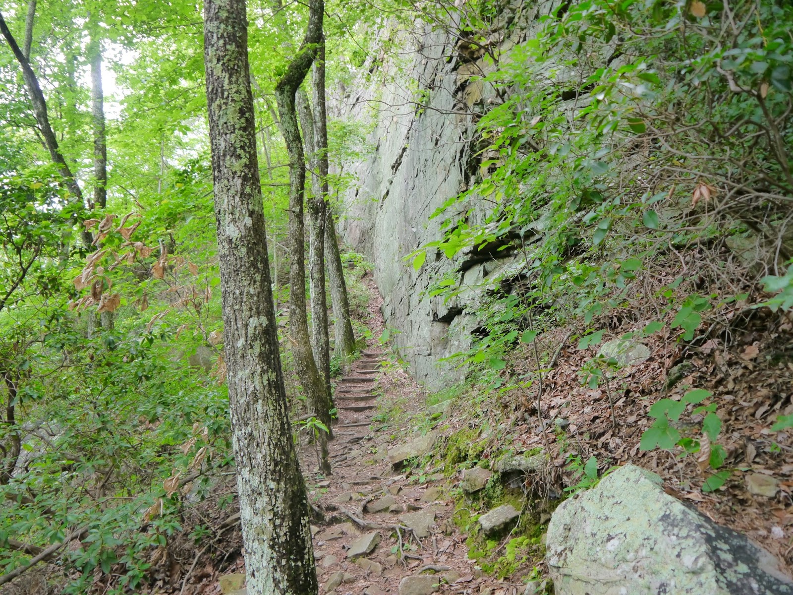 American Travel Journal Climbers Loop Trail at Foster Falls South