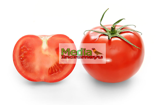 10 Manfaat Tomat untuk Burung Cucak Ijo dan Efek Sampingnya