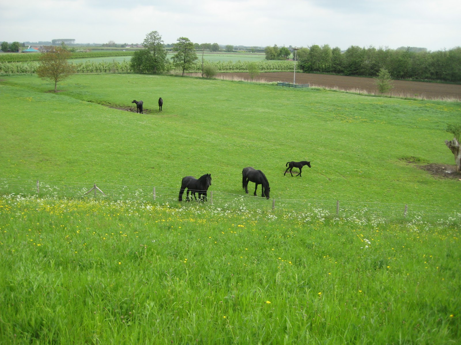De paden op, de lanen in.: Opijnen - Wadenoijen (17 km)