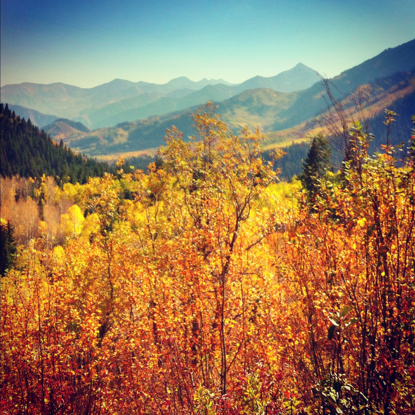 alpine loop bike ride