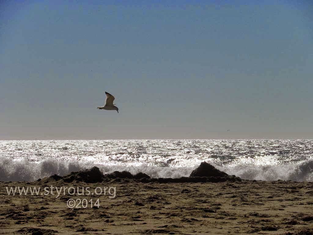 The Styrous® Viewfinder Pajaro Dunes October 2014