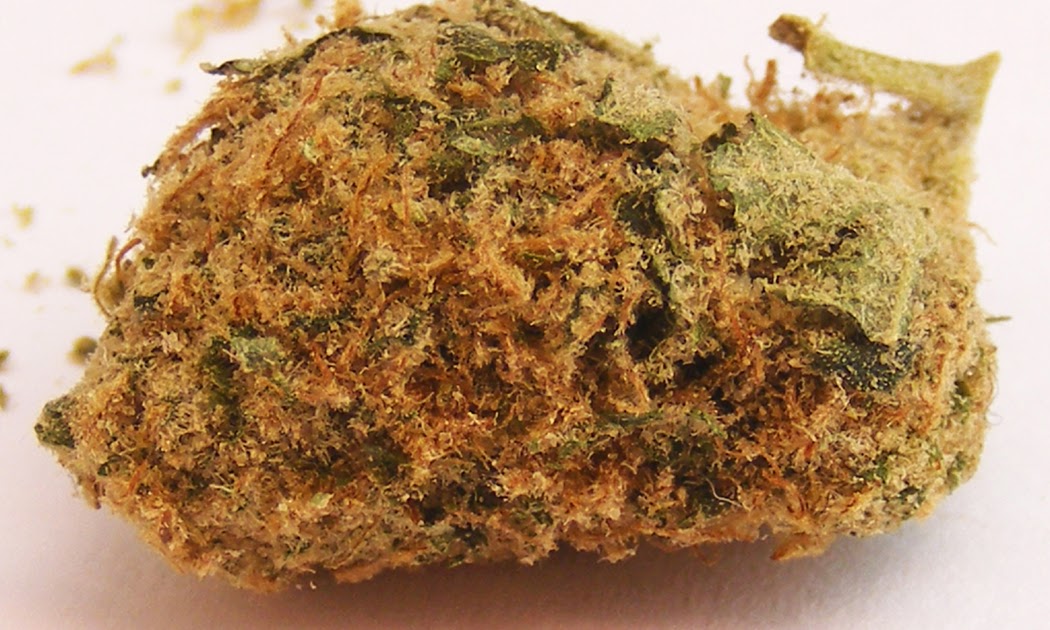 Strain Review Golden Kush
