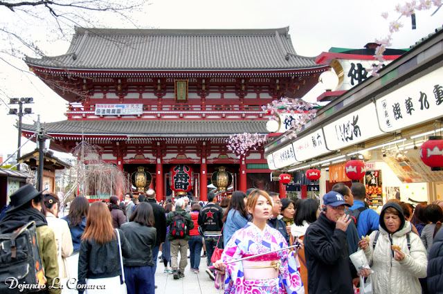 Japón primavera 2016 - 18 días (con bajo presupuesto) - Blogs de Japon - Día 2 - Ueno - Ameyoko - Asakusa (8)