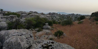 El Torcal de Antequera. El Torcal de Antequera.