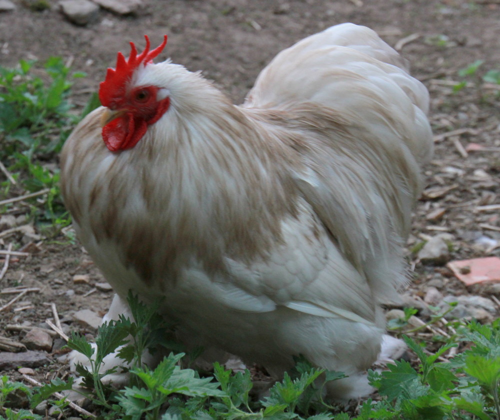 Vapaa HD seksi videot sivustot