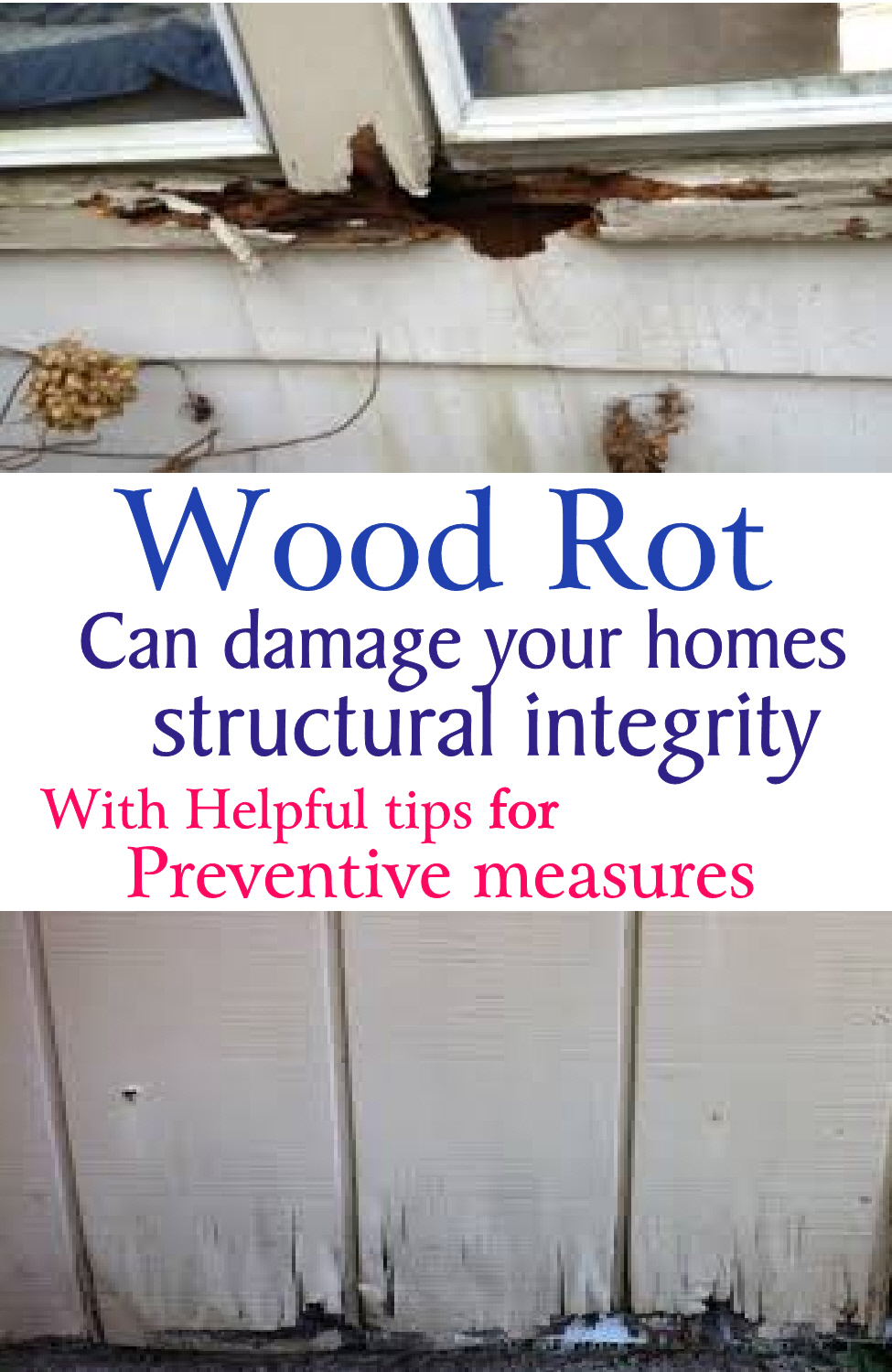 Mr. FixIt Handyman Service Wood rot what it is and tips to prevent it.