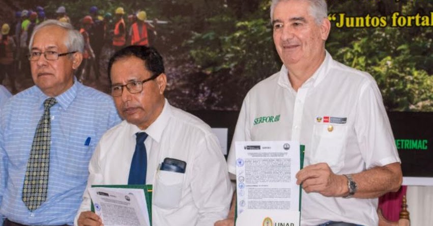 SERFOR y UNAP se unen para fortalecer colecciones científicas de flora de Amazonía peruana SERFOR y UNAP se unen para fortalecer colecciones científicas de flora de Amazonía peruana
