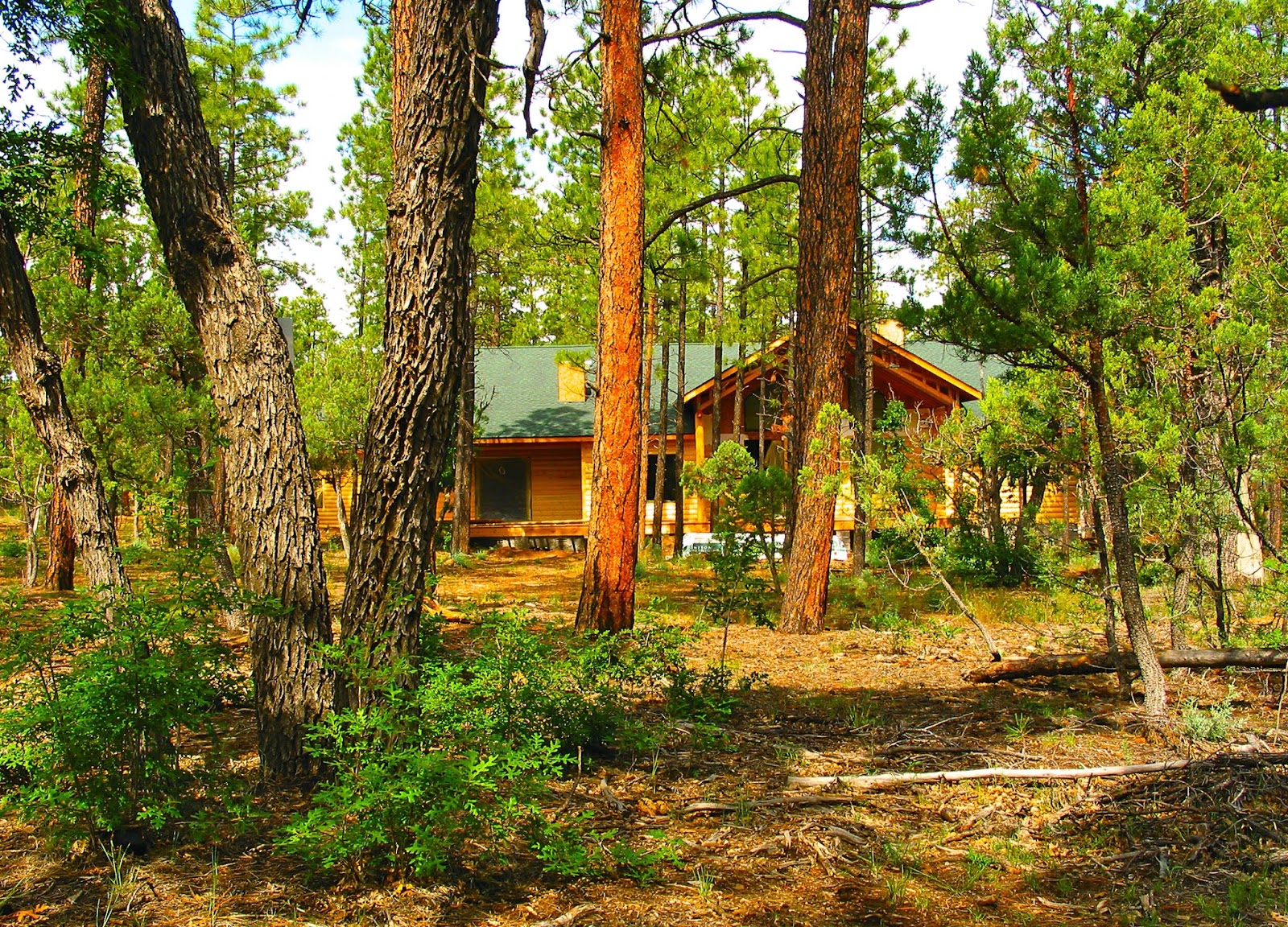 980 W. Manzanita Trail, AZ White Mountains Land For Sale Price