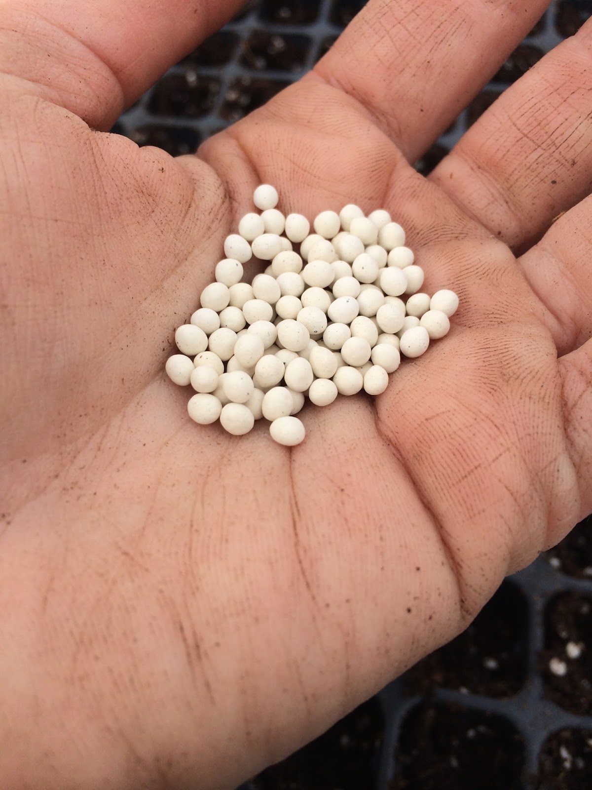 Robson's Farm The Wonder of Pelleted Seeds