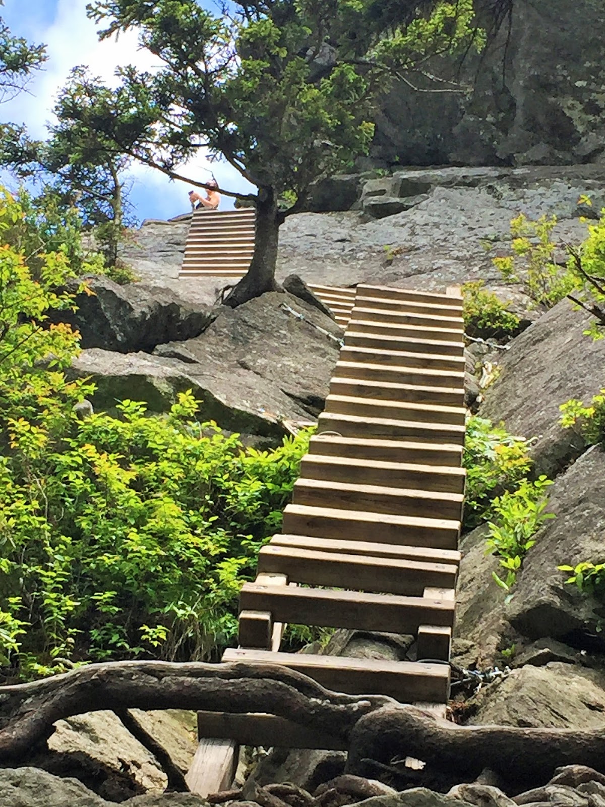 Down the Road Chutes & Ladders Hike on Grandfather Mountain NC