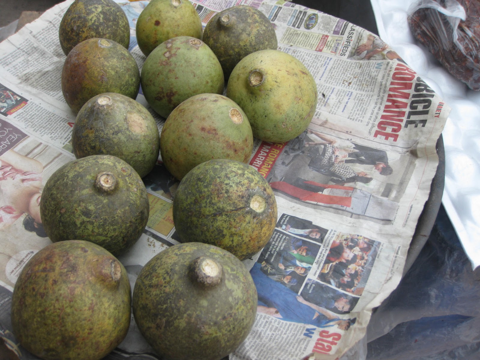 Different fruits of Bangladesh MINOR FRUITS