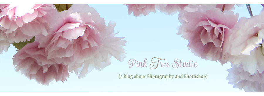 Pink Tree Studio