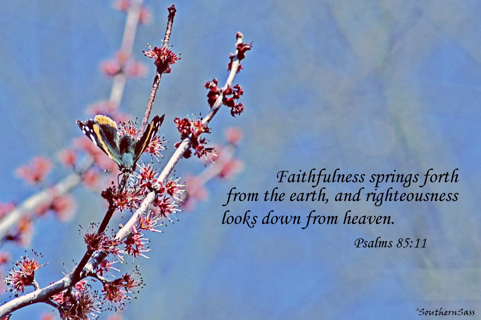 Scripture About Beauty Of Nature Scripture About Beauty Of Nature
