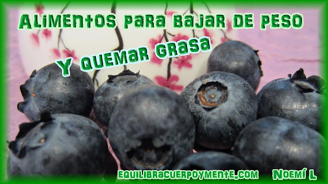 6 Alimentos para bajar de peso y quemar grasa. - Equilibra 6 Alimentos para bajar de peso y quemar grasa. - Equilibra