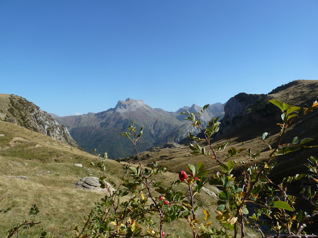 LENITO, 2.324m (La belleza y el silencio del otoño) P1170977%2B%2528FILEminimizer%2529