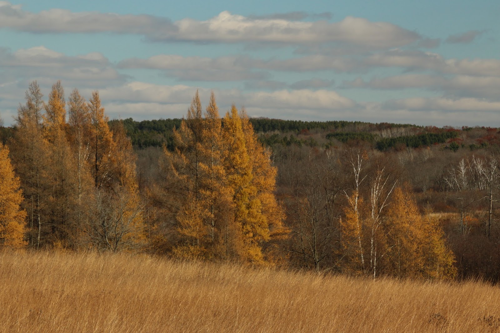 Nomadic Newfies Kettle Moraine's Ice Age Visitor Center