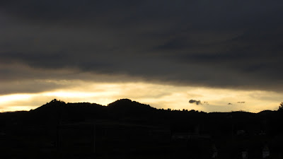 DIARIO DE UN NATURALISTA por Víctor J. Hernández: abril 2012