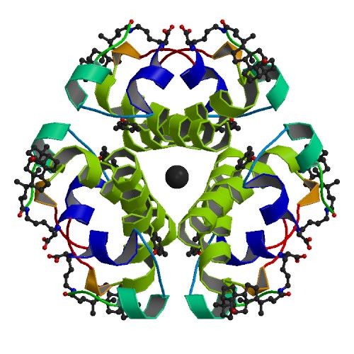 FOOD MINERAL Roles of zinc in insulin