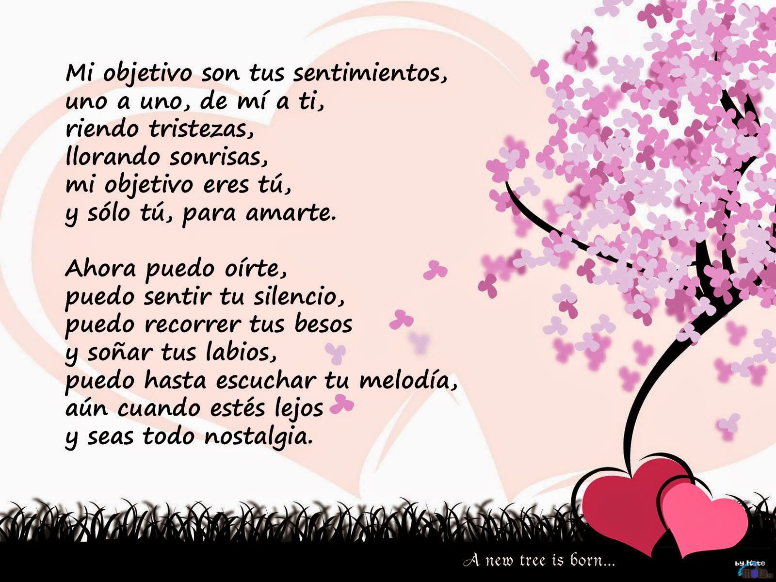 Tandilchat el chat de Tandil Buenos Aires Argentina frases de amor cortas y bonitas para enamorar a una mujer 18