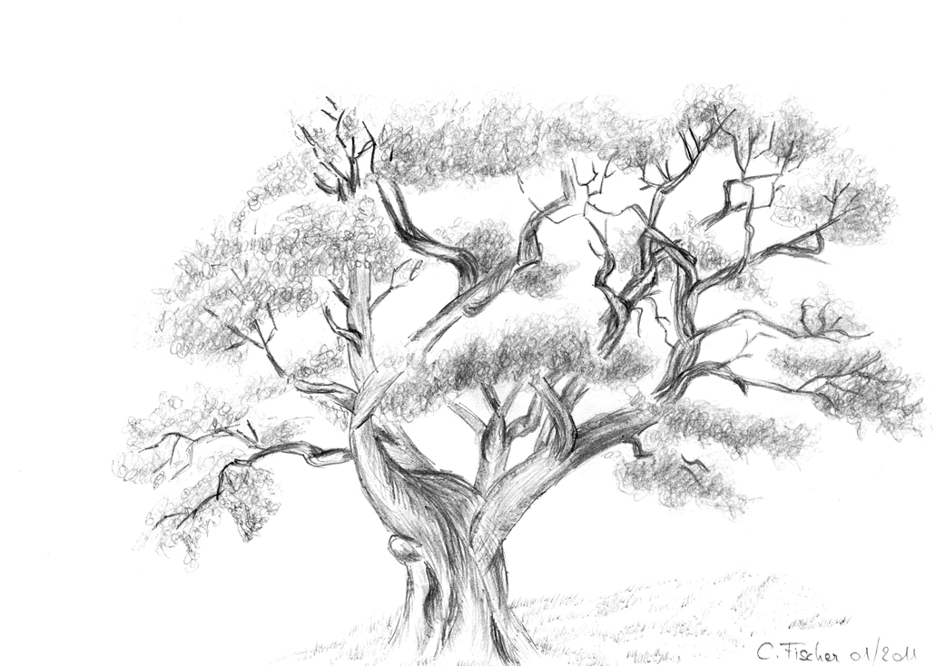 Gemalte Bilder von Bäumen: Entdecke die Magie des Zeichnens!